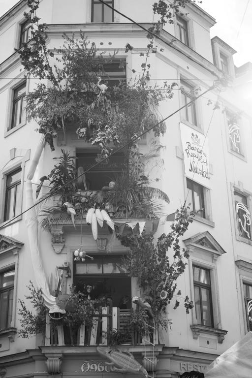 Mirabelle - Wohnen In Der Dresdner Neustadt Dresda Exterior foto